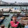 A San Francisco Pier 39, Sea Lions