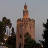 La Torre del Oro