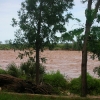 Crocodile Camp, Galana River