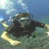Diving a Vaiare Droit, profondità 20 metri