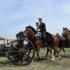 Il Reggimento Artiglieria a cavallo Voloire